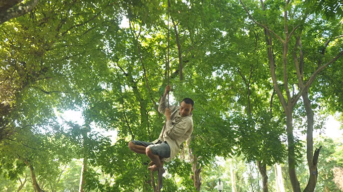 Anh đang thực hiện màn "nhào lộn" để hái sấu kiếm tiền (Ảnh chụp trên đường Phan Đình Phùng).