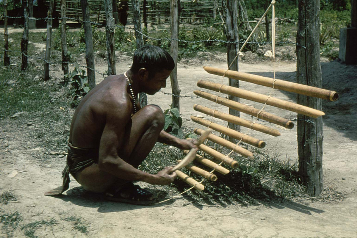 Người đàn ông dân tộc thiểu số Tây Nguyên chơi đàn T'nưng.