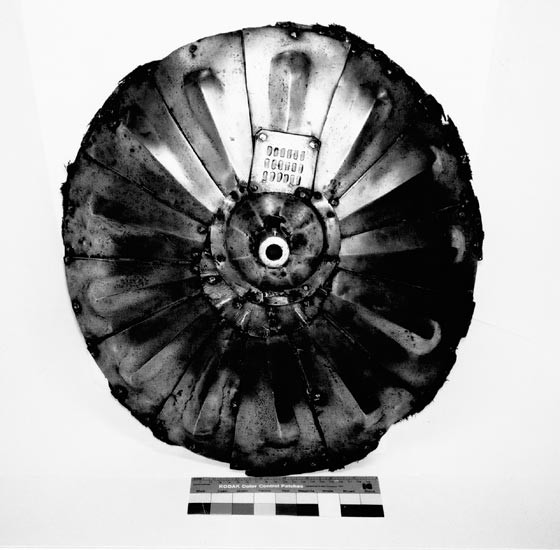 Ngoài ra, nhiều mẫu khiên súng có niên đại muộn hơn cũng đã được tìm thấy ở Anh. Nhưng các nhà nghiên cứu cho rằng nguồn gốc của khiên súng là Italia.