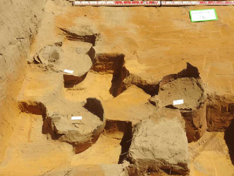 Ngày 2/12/2019, Trung tâm Quản lý bảo tồn di sản văn hóa TP Hội An (tỉnh Quảng Nam) cho biết, cuộc khai quật di tích Thanh Chiếm (phường Thanh Hà, Hội An) đã phát hiện nhiều hiện vật của nền văn hóa Sa Huỳnh (cách ngày nay 2.500 đến 3.000 năm), đáng chú ý ltrong đó là 6 mộ chum cùng nhiều hiện vật tùy táng. Ảnh: Báo Quảng Nam.