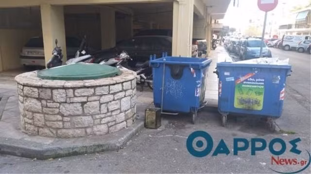 Dang cho meo an, nguoi phu nu thay dieu bat ngo trong thung rac