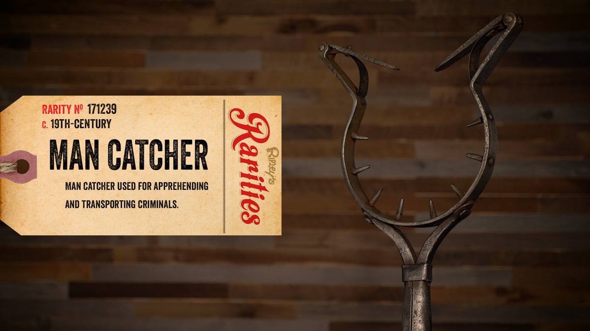 Man-catcher thường được sử dụng để hạ gục các kỵ binh bằng cách đâm nó vào người và giật mạnh khiến anh ta rơi xuống đất.