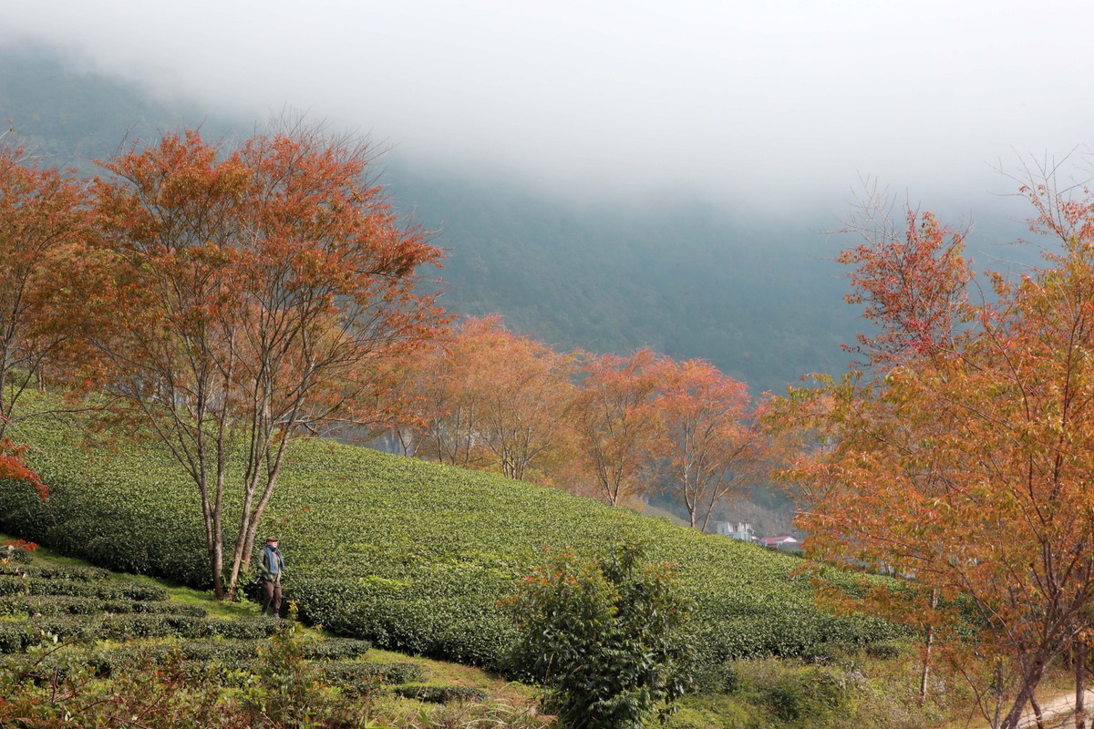 Địa điểm này đã không ít lần lọt vào tầm mắt của những tay săn ảnh để tạo ra những bức ảnh xuất sắc.