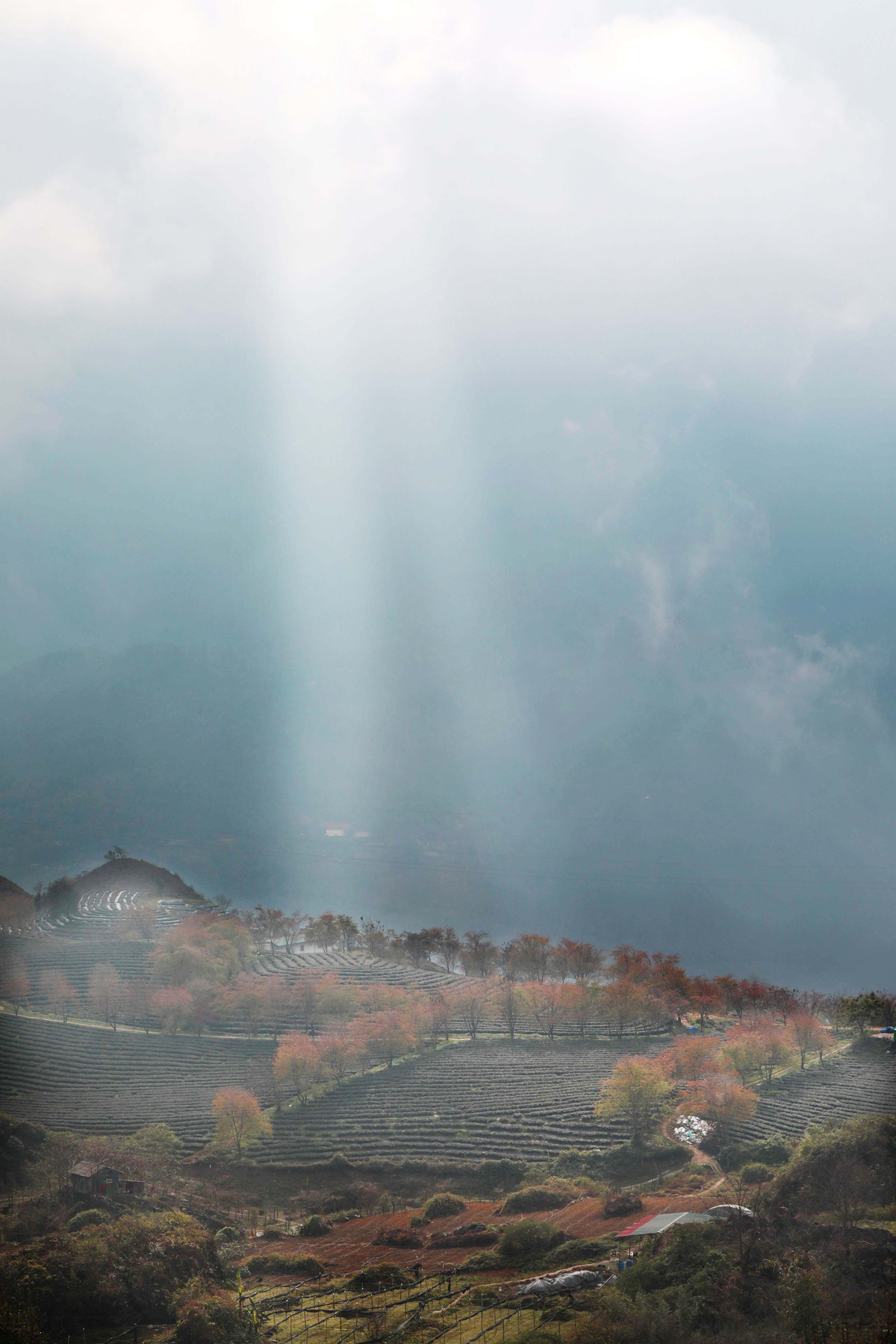 Thời gian để thực hiện chuyến hành trình khám phá vùng đất tươi đẹp này là vào khoảng tháng 12 đến tháng 1 dương lịch.