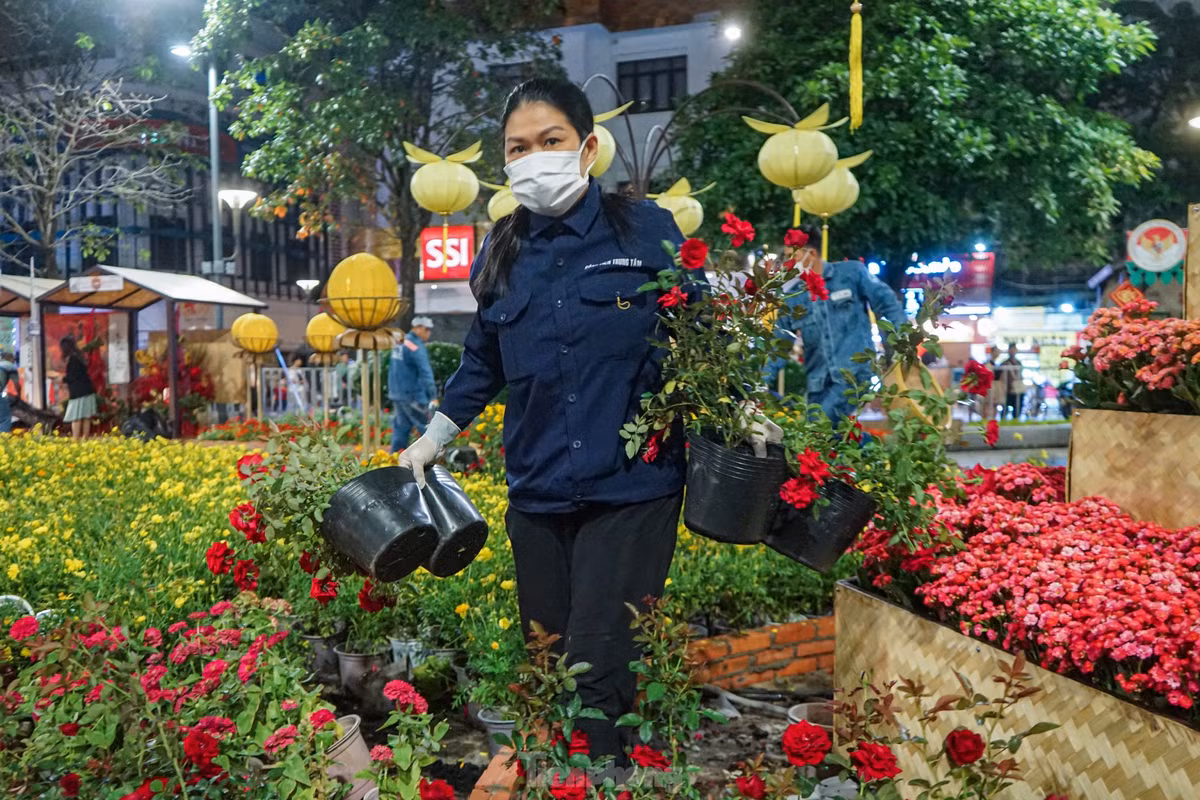 Hầu hết các giỏ hoa có tại đường hoa Nguyễn Huệ năm nay đều có giá trị và thời gian sinh trưởng lâu nên được các công nhân của công ty cây xanh sàng lọc cẩn thận để mang về các khu du lịch, công viên tiếp tục trang trí.