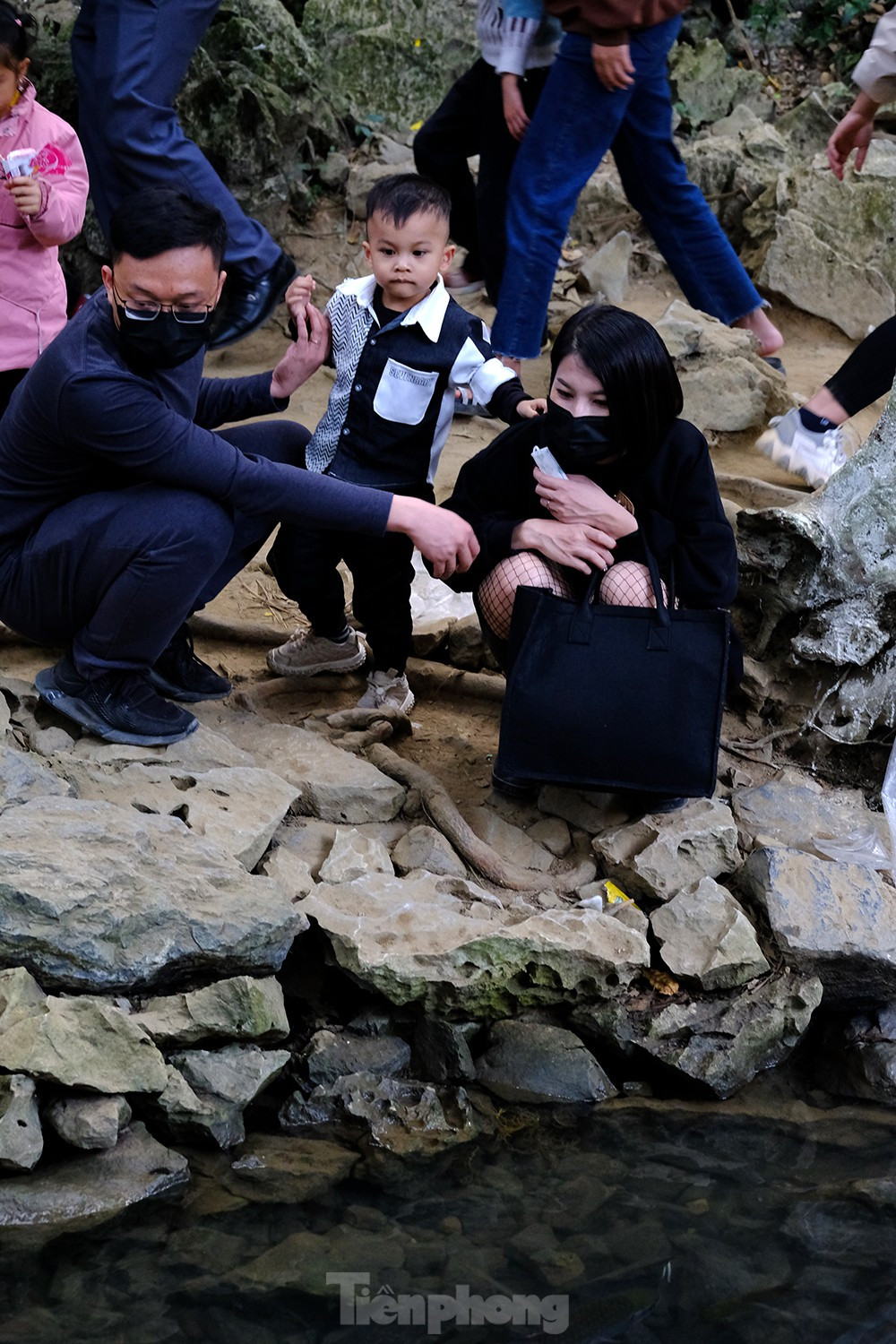 Du khách chăn chú quan sát đàn cá dày đặc đang bơi trong dòng nước trong veo của suối cá thần.