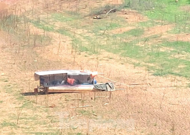 Là người chuyên thả lưới bắt cá dưới nhánh sông Bé, ông Nguyễn Kha (55 tuổi, ngụ xã Minh Hưng, huyện Bù Đăng, tỉnh Bình Phước) chia sẻ, hiện tượng khô hạn xảy ra từ đầu năm đến nay. "Tôi có chiếc ghe dùng để đi bắt cá nhưng do không có nước nên đành chịu. Chiếc ghe của tôi hiện tại đậu dưới sông nhưng chẳng khác nào để ở giữa sa mạc", ông Kha nói.