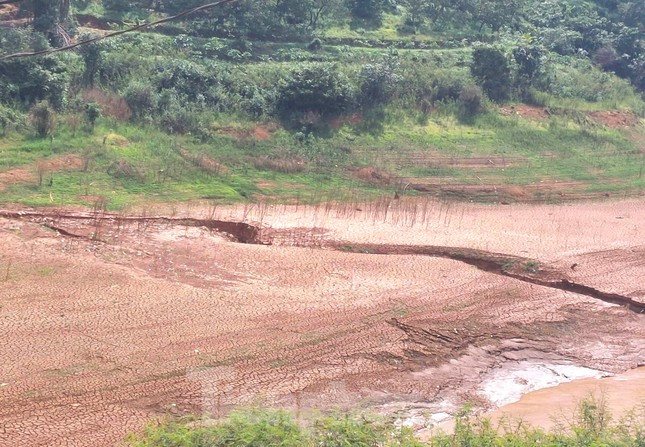 Đại diện Công ty Cổ phần thủy điện Thác Mơ cho biết, hiện mực nước các hồ thủy điện, thủy lợi trên lưu vực sông Bé đều ở mức rất thấp do ảnh hưởng của hiện tượng El nino và mùa khô đang diễn ra khắc nghiệt.