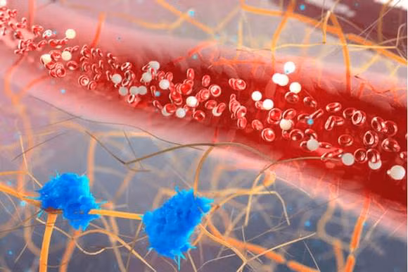 Di bo la lieu thuoc keo dai tuoi tho tot nhat-Hinh-3