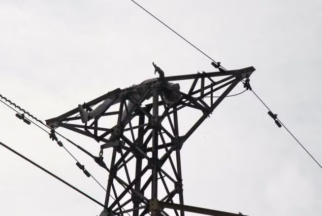 Peng Hsieh nằm trên đỉnh cột điện cao 24m.