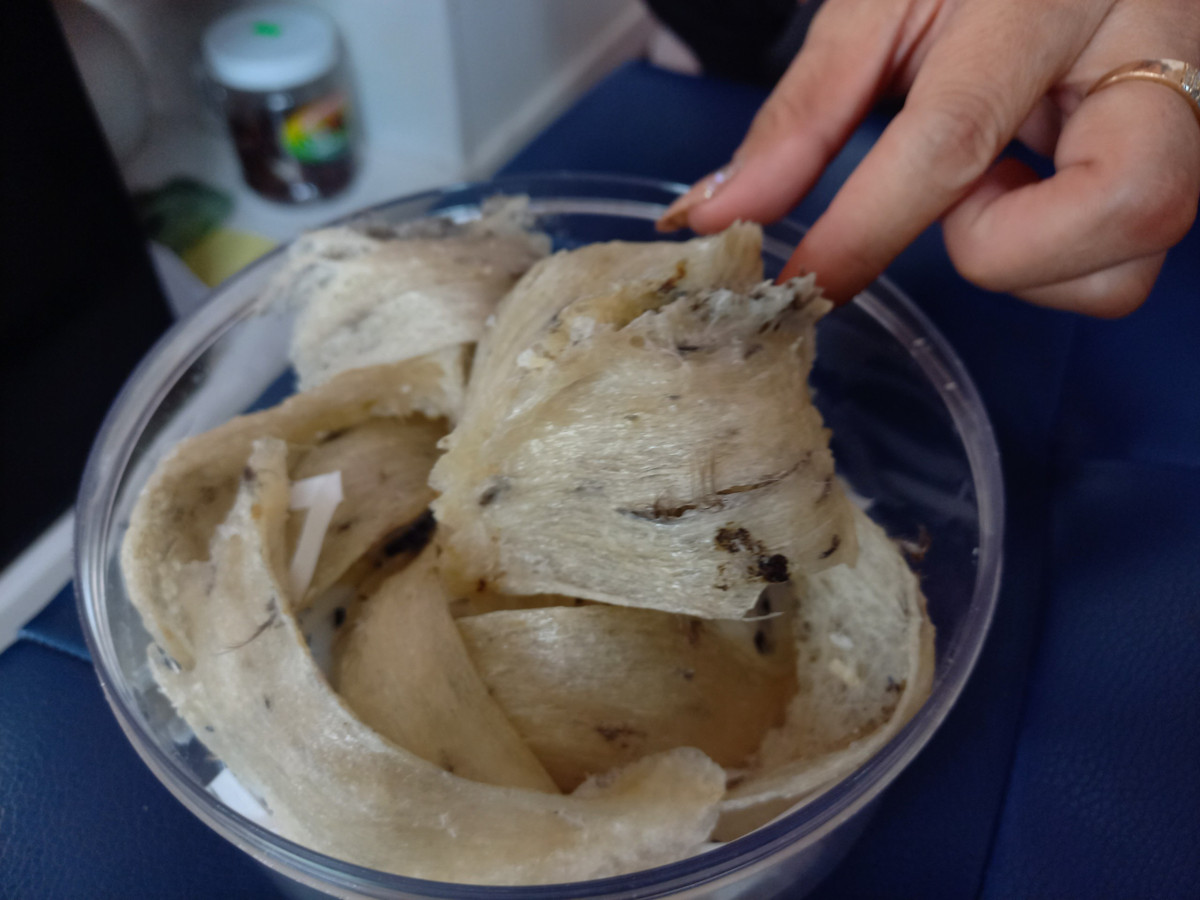 Long An: Người dân xây nhà nuôi “chim tiền tỷ“ - Hình 4 Long An: Nguoi dan xay nha nuoi “chim tien ty“-Hinh-4