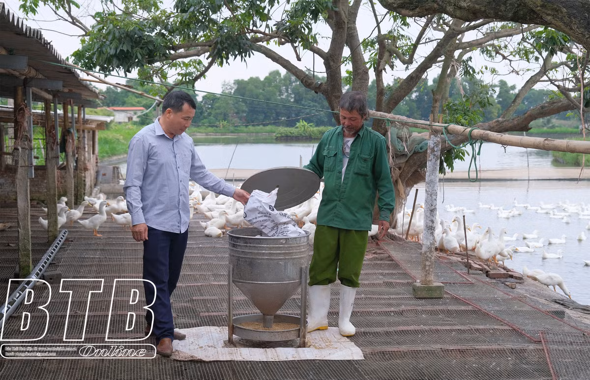 Dai gia Thai Binh moi nguoi lam mot cach ma deu thanh cong-Hinh-2