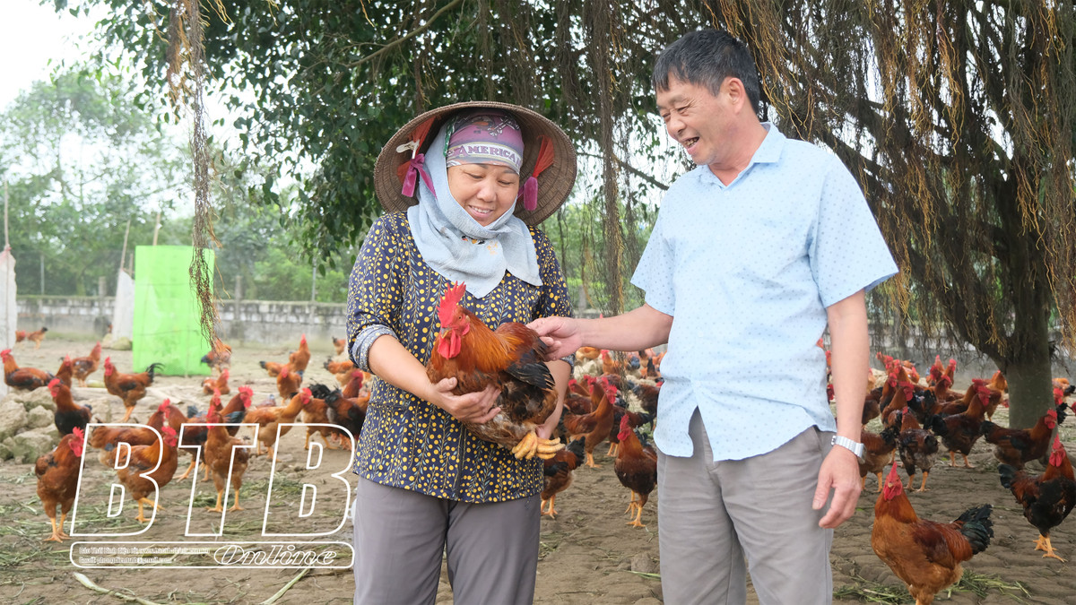 Đại gia Thái Bình mỗi người làm một cách mà đều thành công Dai gia Thai Binh moi nguoi lam mot cach ma deu thanh cong