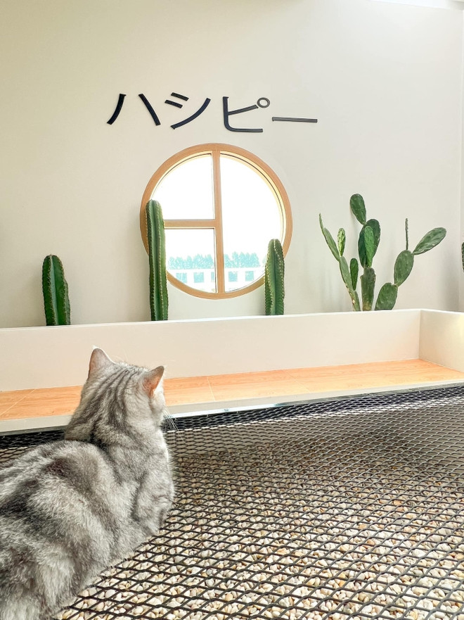 Ngoi nha o Thai Lan duoc dan mang share dien dao: Goc nao cung chill-Hinh-24