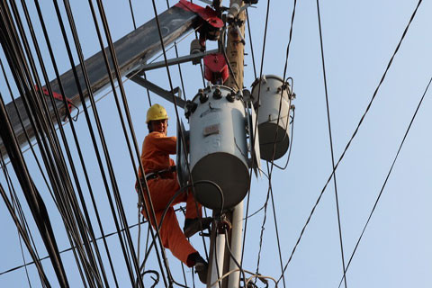 EVN dau tu ngoai nganh khung co nao?