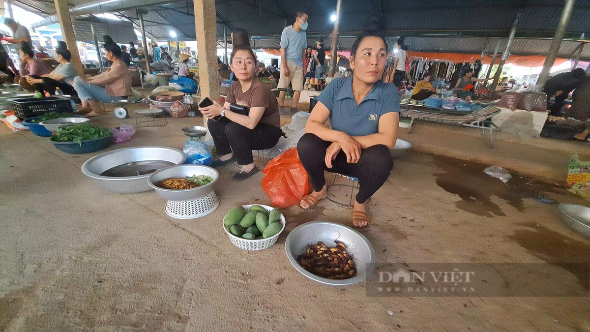 Cho doc la o Son La ban toan con trung, dac san nui rung-Hinh-3