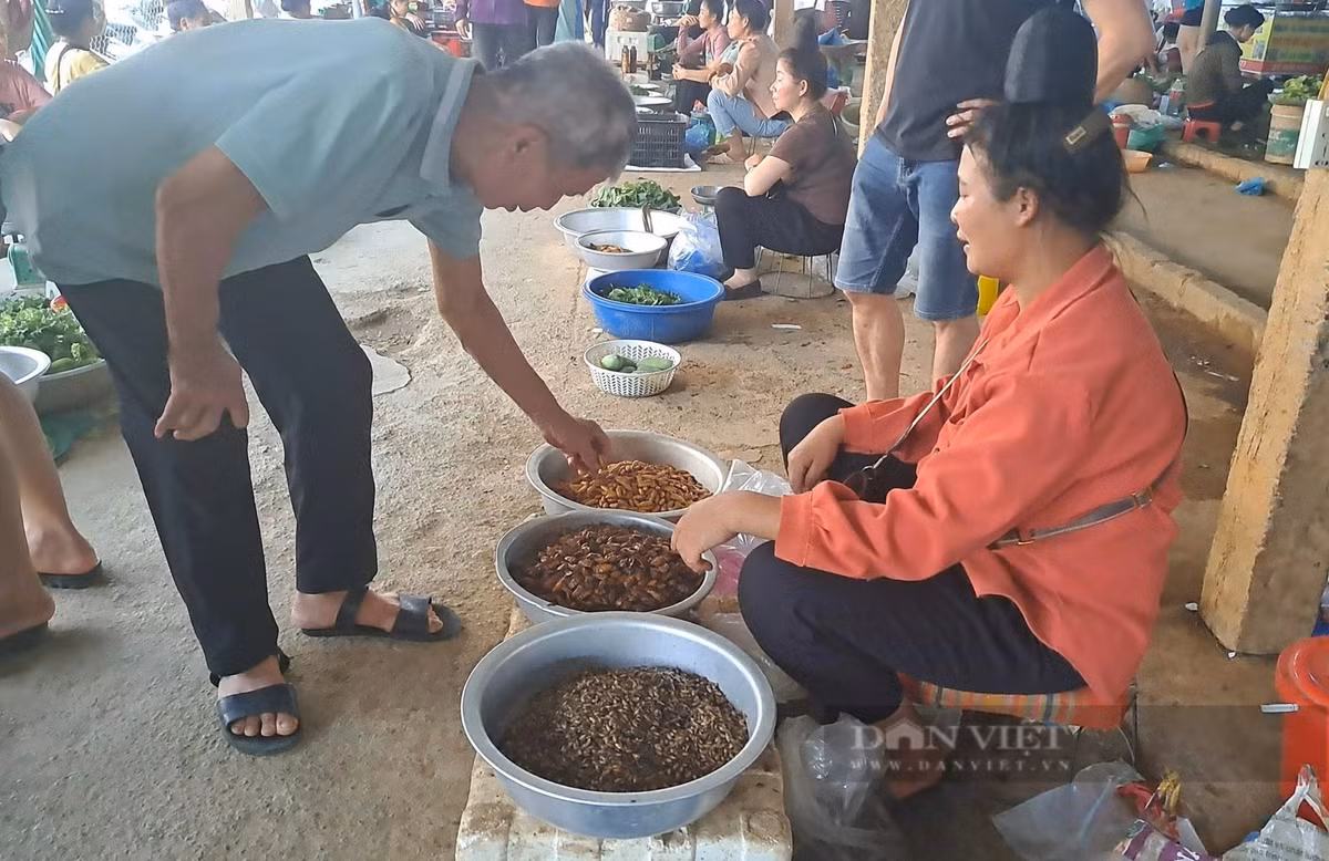 Cho doc la o Son La ban toan con trung, dac san nui rung-Hinh-4