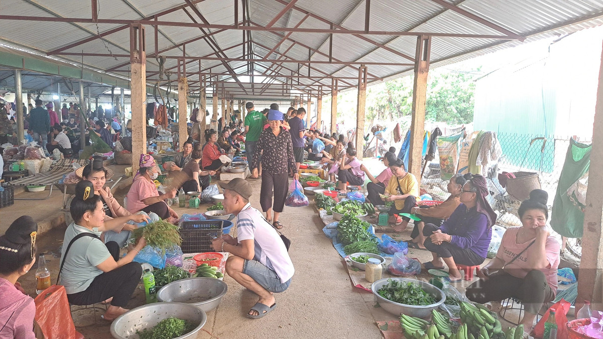 Cho doc la o Son La ban toan con trung, dac san nui rung