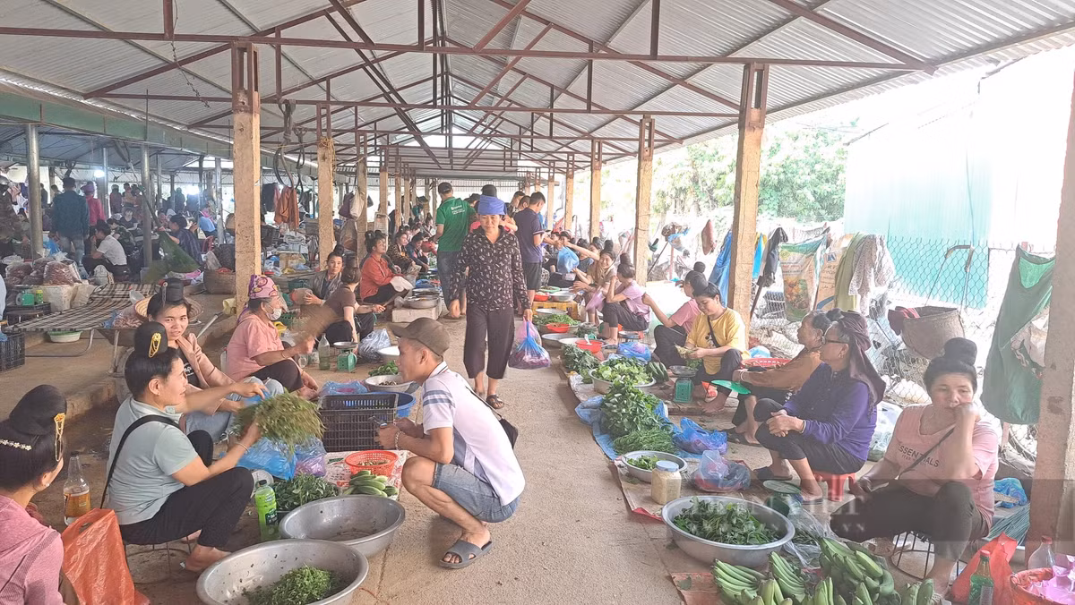 Cho doc la o Son La ban toan con trung, dac san nui rung