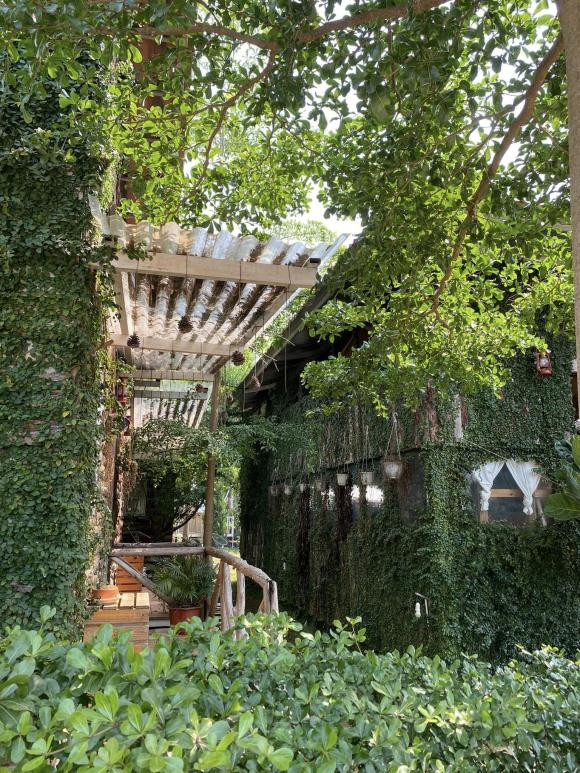 Dù mẹ ngăn cản, cô gái Hà Nội lên Mộc Châu xây nhà gỗ - Hình 11 Du me ngan can, co gai Ha Noi len Moc Chau xay nha go-Hinh-11