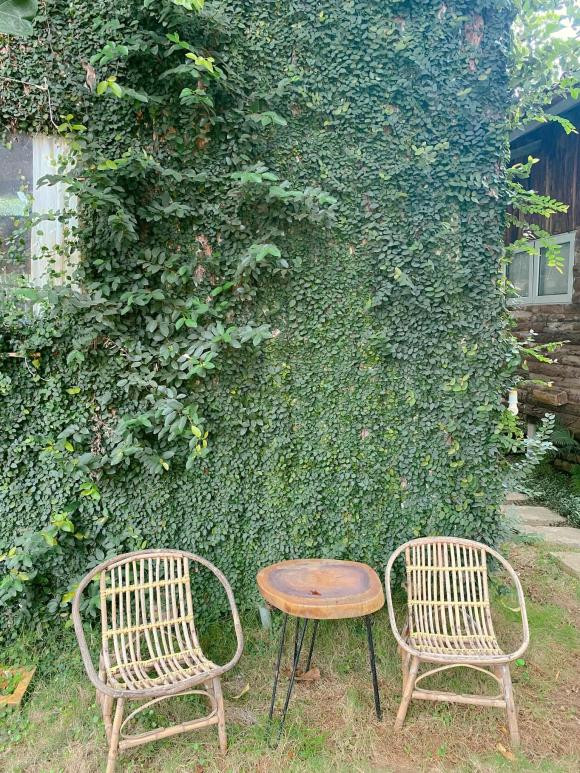 Dù mẹ ngăn cản, cô gái Hà Nội lên Mộc Châu xây nhà gỗ - Hình 5 Du me ngan can, co gai Ha Noi len Moc Chau xay nha go-Hinh-5