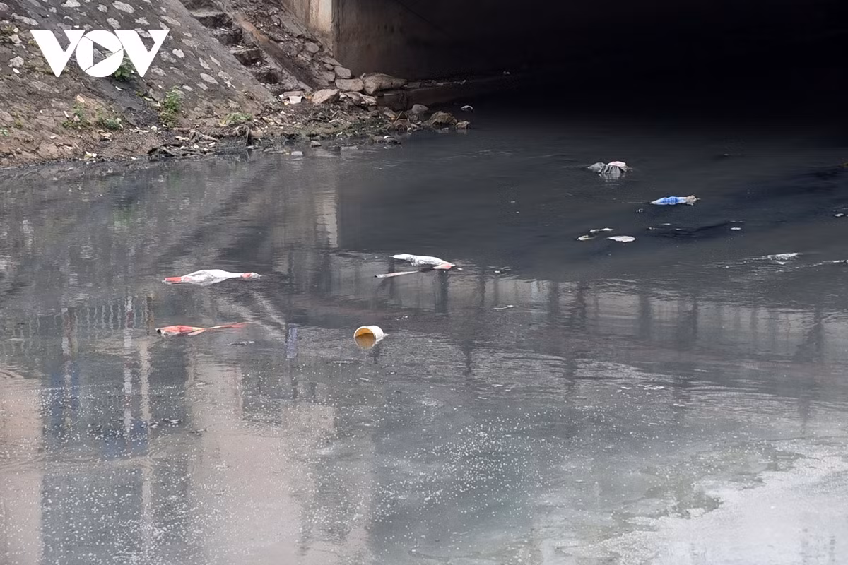 Túi ni lông, chai nhựa.., người dùng tiện tay ném xuống mắc lại dưới lòng sông không được vớt.