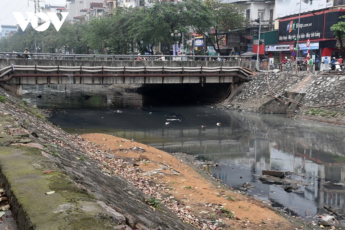Các cư dân sinh sống hai bên bờ sông đều có mong muốn việc cải tạo nạo vét bùn thải tích tụ lưu thông dòng chảy cần được làm thường xuyên hơn chứ không nên làm theo lịch định kỳ. Mong muốn thành phố sớm có giải pháp đối với nước thải sinh hoạt, công nghiệp đổ thẳng ra sông mà không qua xử lý.