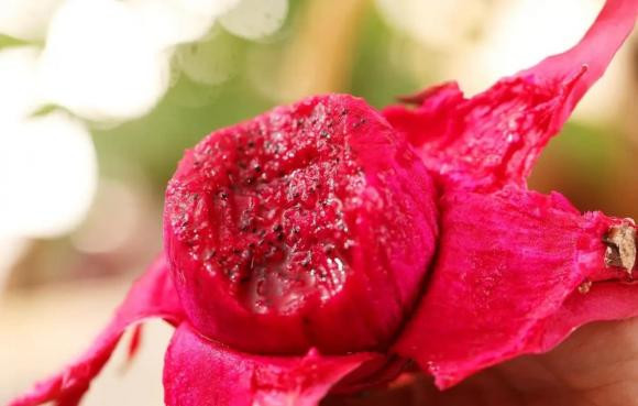 3 loai trai cay khong nen mang ra mo trong ngay Tet Thanh minh-Hinh-2