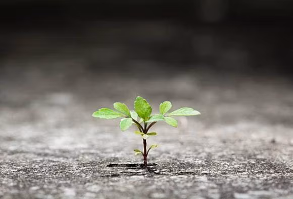 Muon co duoc cho dung vung chac hay lam theo 3 cach nay