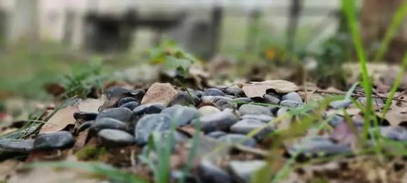 Muon co duoc cho dung vung chac hay lam theo 3 cach nay-Hinh-2