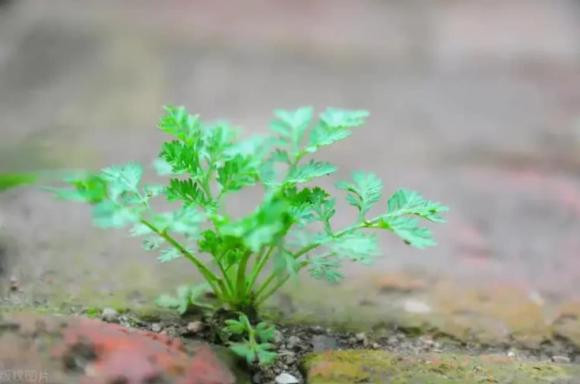 Muon co duoc cho dung vung chac hay lam theo 3 cach nay-Hinh-4