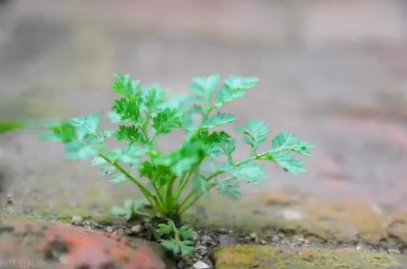 Muon co duoc cho dung vung chac hay lam theo 3 cach nay-Hinh-4