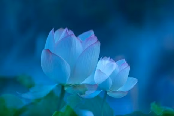 Ba thu giup ban doi mat voi nguoi khong thich minh-Hinh-6