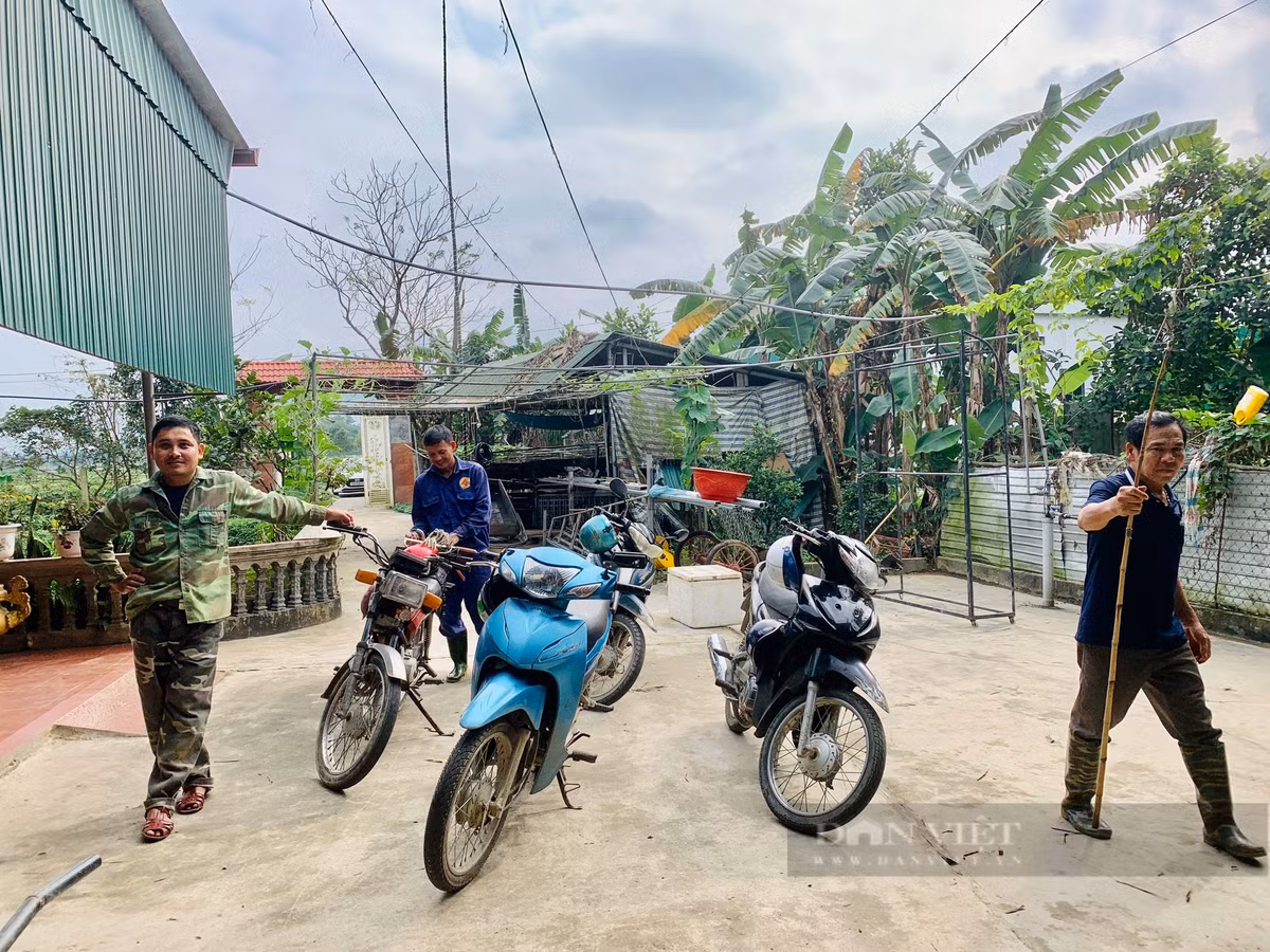 Ve thu phu nuoi huou sao lay nhung lon nhat ca nuoc-Hinh-2