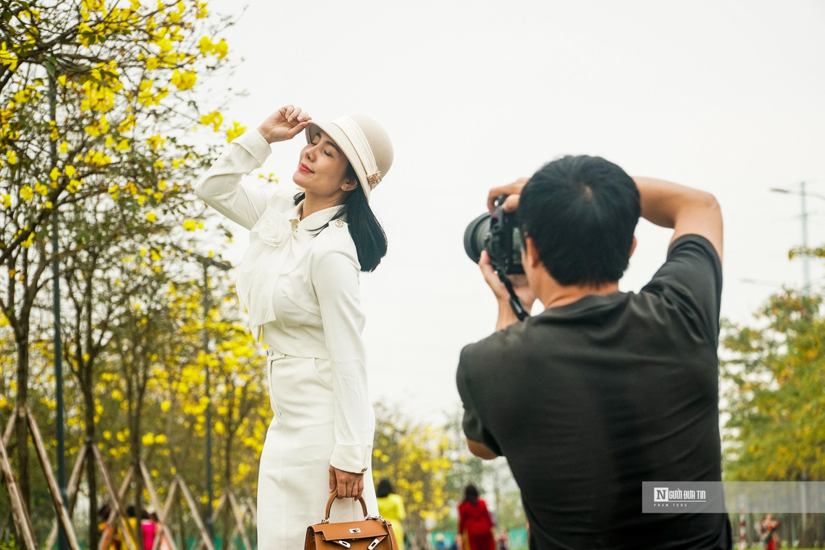 “Phát sốt” với con đường hoa phong linh vàng rực ở Hà Nội - Hình 8 “Phat sot” voi con duong hoa phong linh vang ruc o Ha Noi-Hinh-8