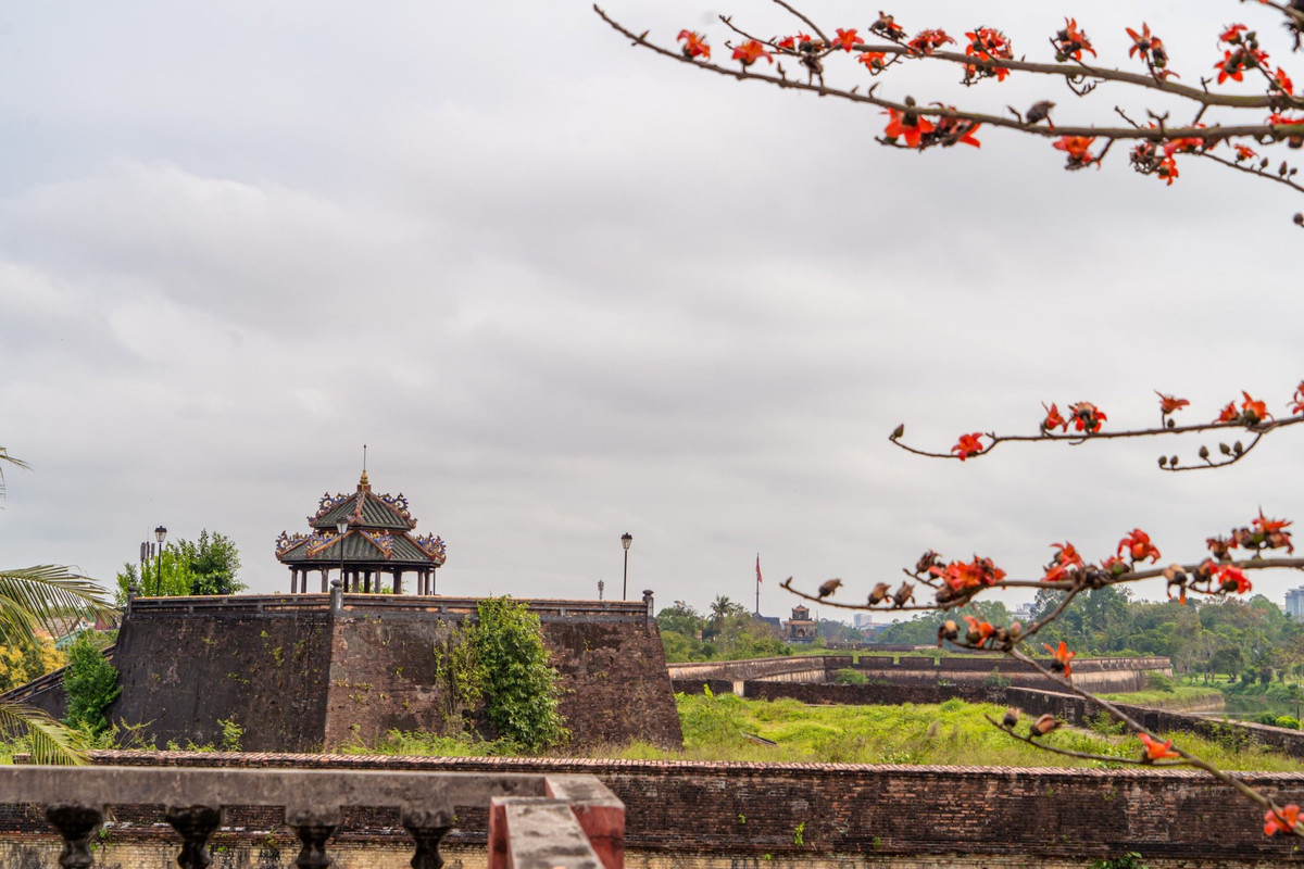 Dat troi xu Hue dep ruc ro trong mua hoa gao