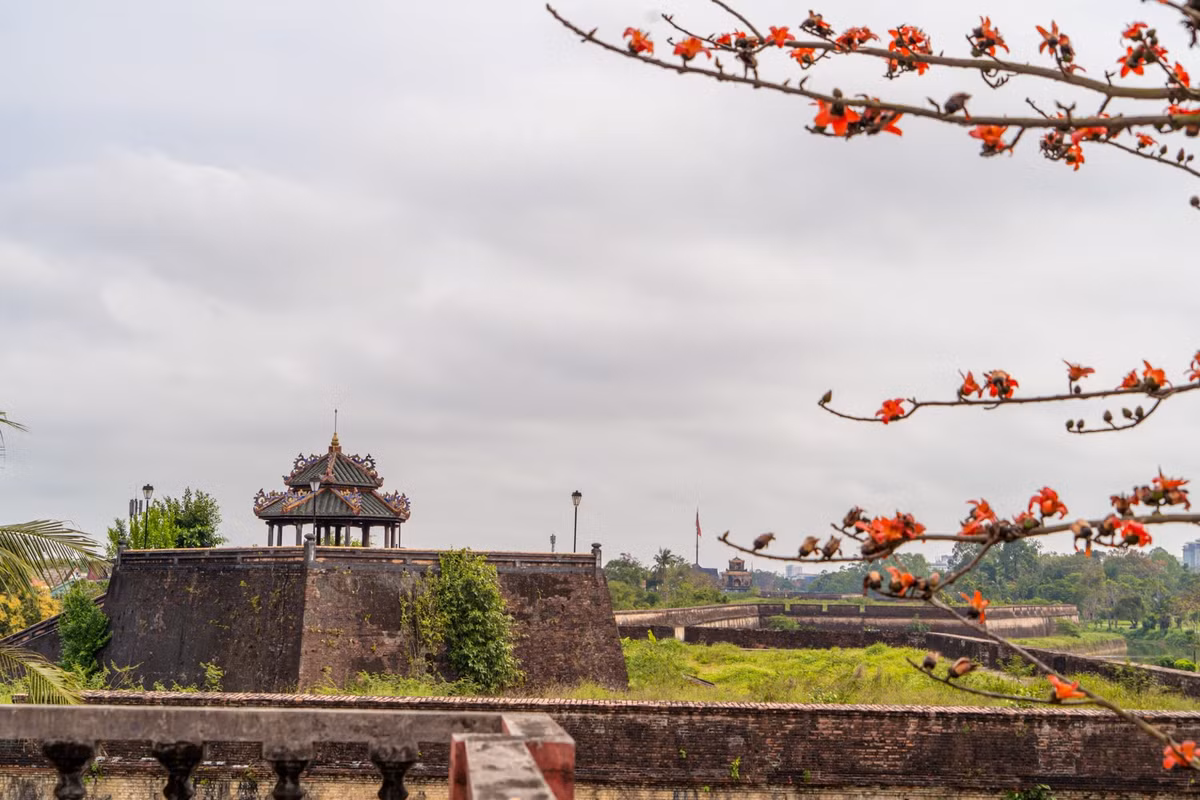 Dat troi xu Hue dep ruc ro trong mua hoa gao