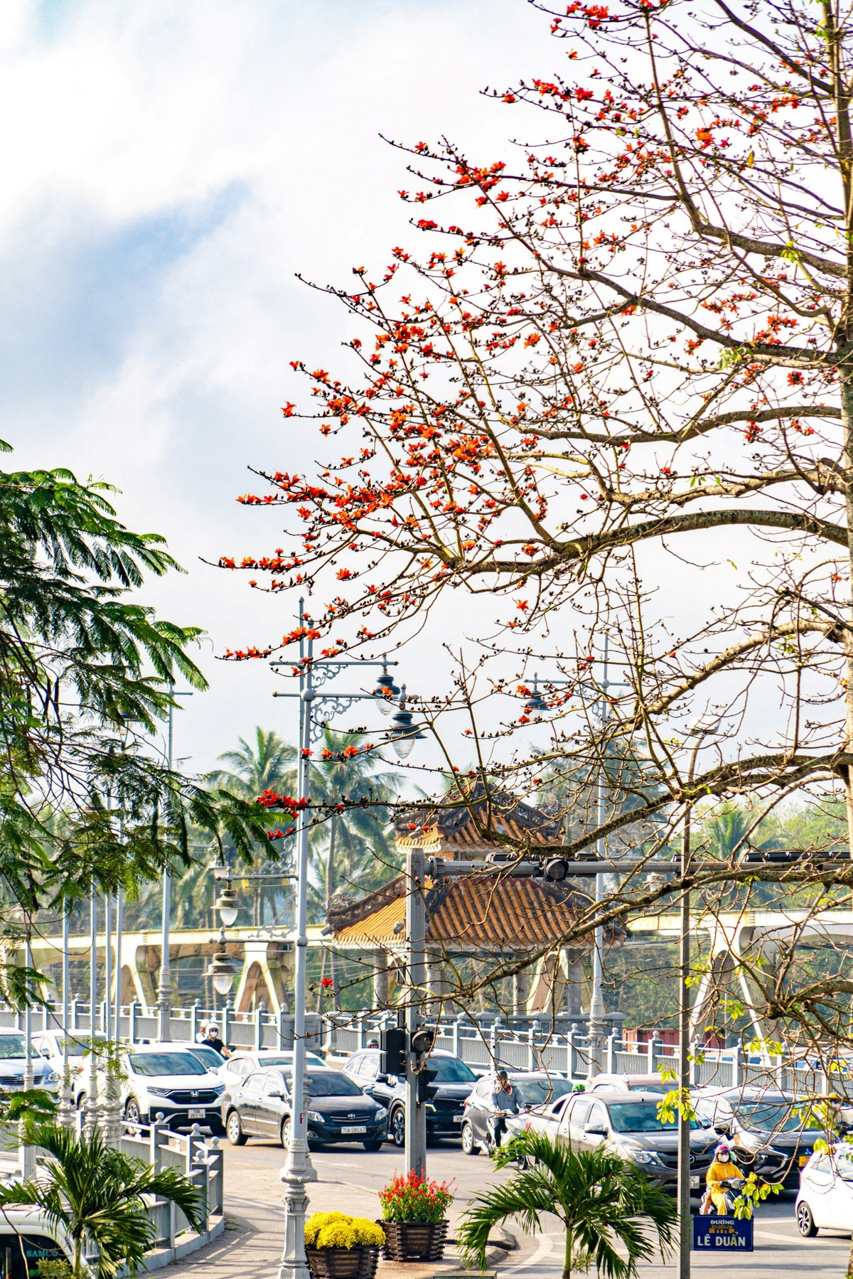 Dat troi xu Hue dep ruc ro trong mua hoa gao-Hinh-5