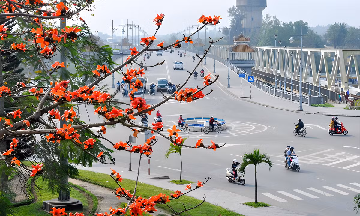 Dat troi xu Hue dep ruc ro trong mua hoa gao-Hinh-3