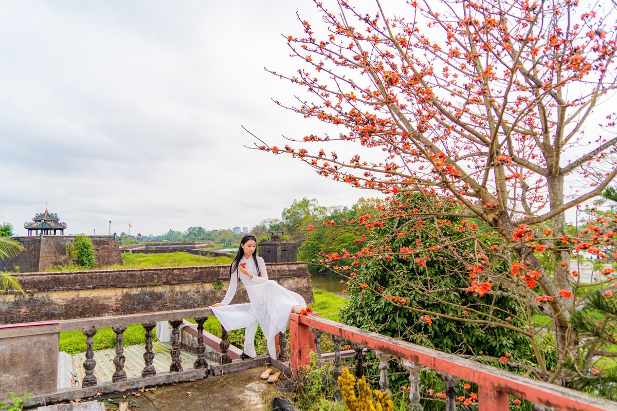 Dat troi xu Hue dep ruc ro trong mua hoa gao-Hinh-10