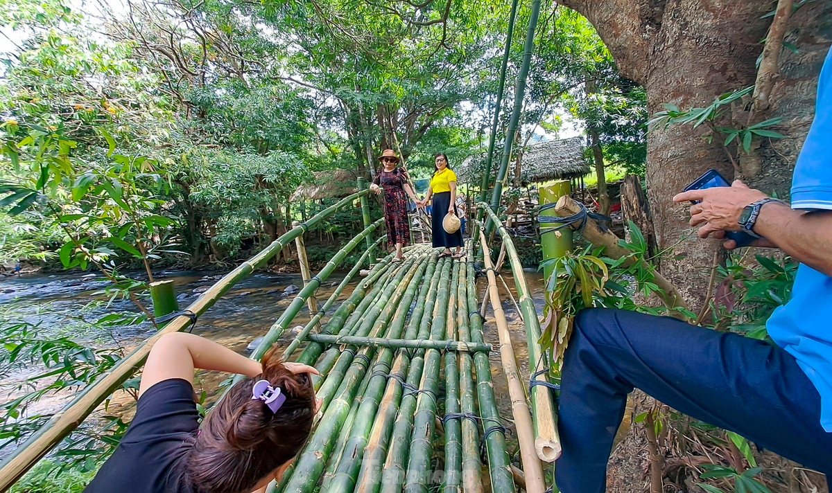 Binh Dinh: Ruc ro hoa trang rung ben suoi Ta Ma-Hinh-5