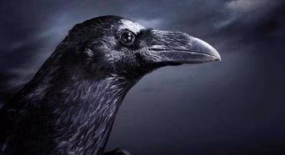 Neu con nguoi bien mat, loai nao se thanh 