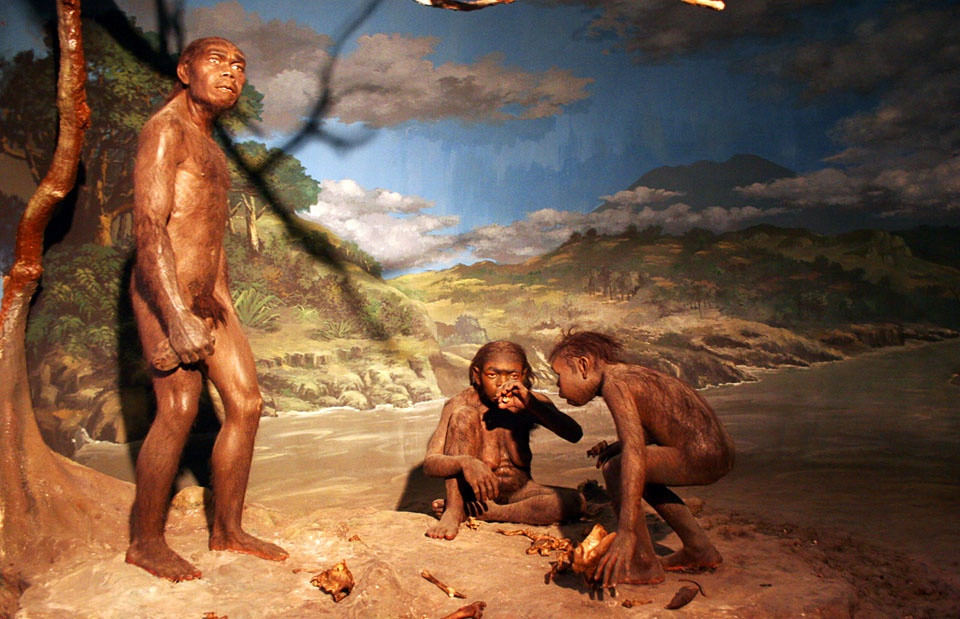  4. Địa điểm khảo cổ Situs Manusia Purba Sangiran: Còn được gọi là khu khảo cổ người tiền sử Sangiran, di tích này nằm ở tỉnh Trung Java (Indonesia). Địa điểm này là di sản thế giới được UNESCO công nhận và có vai trò quan trọng trong việc nghiên cứu quá trình tiến hóa của loài người. Hóa thạch vượn người đầu tiên ở đây được phát hiện trong các cuộc khai quật từ năm 1936 đến năm 1941 như loài maganthropus paleo và homo erectus.