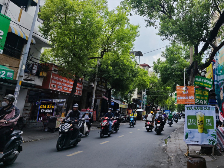 Con sot “tra mang cau” khien mang cau xiem tang gia nong-Hinh-2