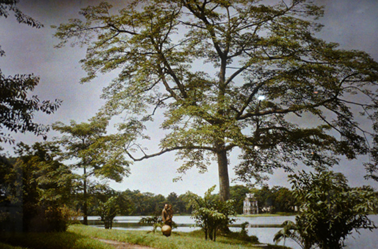 Hồ Hoàn Kiếm xuất hiện trong khung cảnh nên thơ.