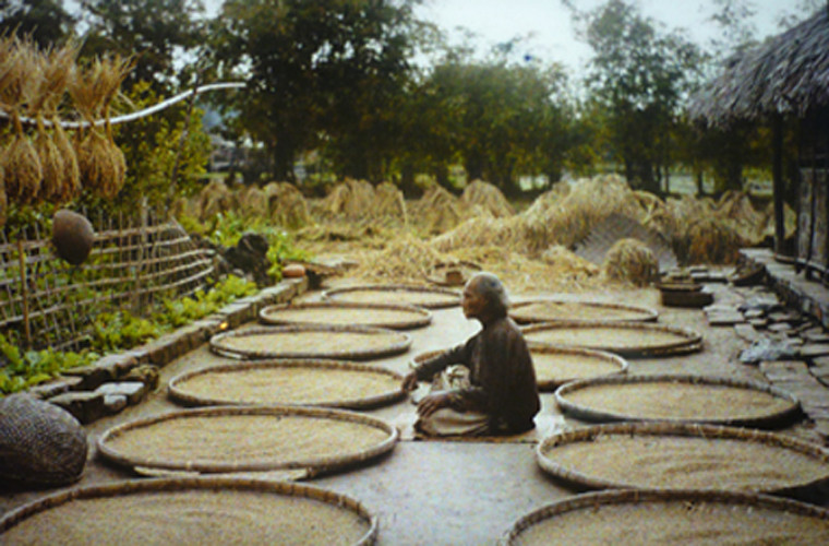 Một cụ ông ngồi phơi nông sản.