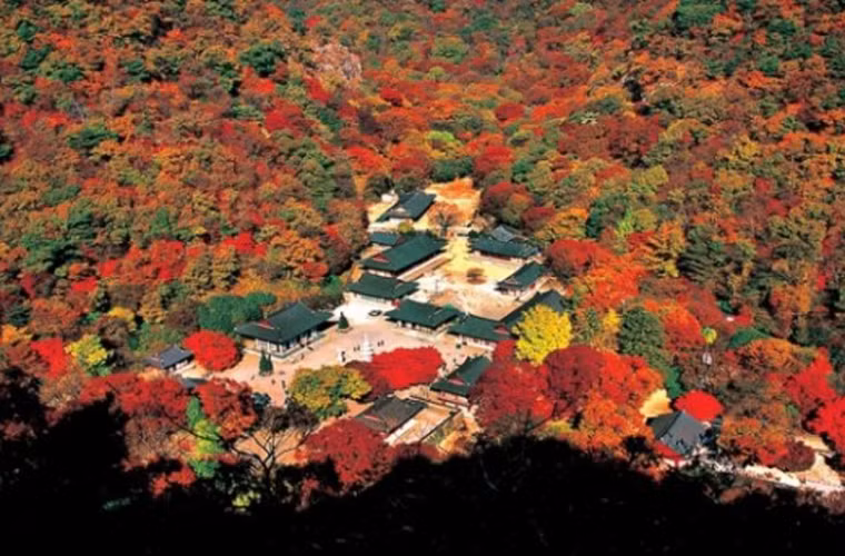 Chùa Naejangsa nằm bên trong rừng lá phong tuyệt đẹp thuộc công viên quốc gia Naejang. Đây là quần thể kiến trúc Phật giáo được xây dựng vào năm 636 và hoàn thành sau thời Jeongyujeran (cuộc xâm lược của Nhật Bản năm 1579) và cuộc chiến tranh trên bán đảo Triều Tiên. Đây là một trong những ngôi chùa lưu giữ nhiều di sản văn hóa cổ xưa có giá trị đặc biệt của xứ sở kim chi.