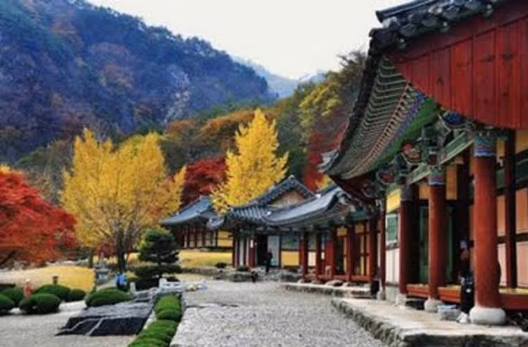 Chùa Gangcheonsa được xây dựng vào năm 1316, trong đó có 5 tầng bằng đá. Người dân Hàn Quốc cho hay ngôi chùa có thể dung nạp tới 1.000 nhà sư.