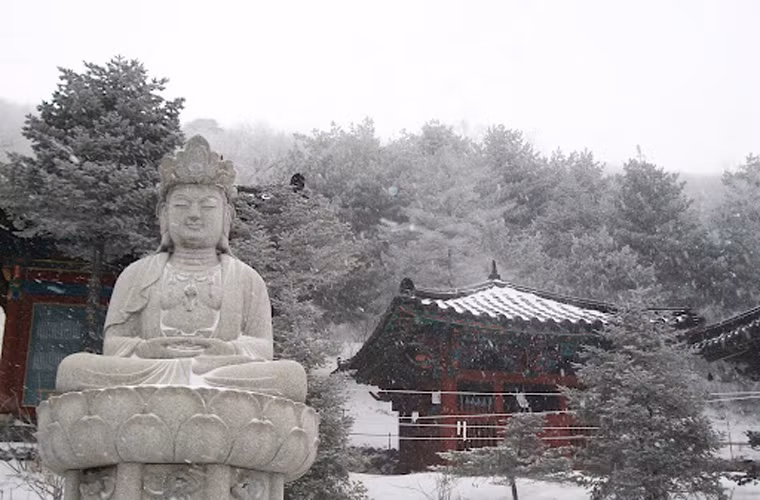 Chùa Manggyeongsa nằm trên đỉnh núi Taebaek cao tới 1.460m. Tương truyền, bức tượng đá của Phật Bodhisattva đã bất ngờ xuất hiện trên đỉnh núi mà người dân xứ Kim chi không biết rõ xuất xứ của nó. Nhà sư Jajang sống dưới triều đại Silla (từ năm 57 trước công nguyên tới năm 935 sau công nguyên) đã cho xây dựng ngôi chùa này để thờ cúng bức tượng. Khi đến nơi đây hành hương, du khách còn có dịp ngâm mình trong dòng suối nước nóng ở suối Long - địa điểm cao nhất Hàn Quốc.