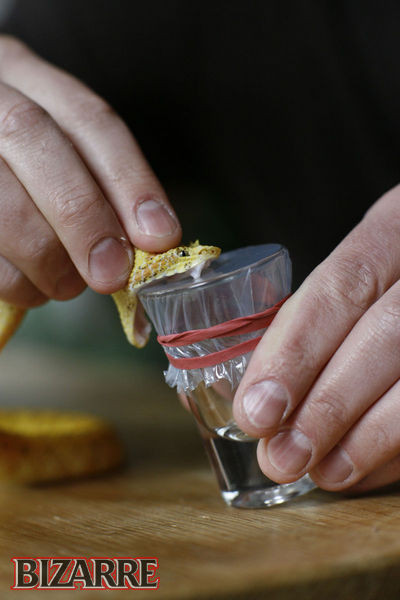 Thay vì để rắn cắn trực tiếp, Steve tự chọn loại rắn độc, lấy nọc rồi tiêm vào cơ thể. Đây là một quá trình hết sức rắc rối đòi hỏi sự tỉ mỉ và tập trung cao độ.